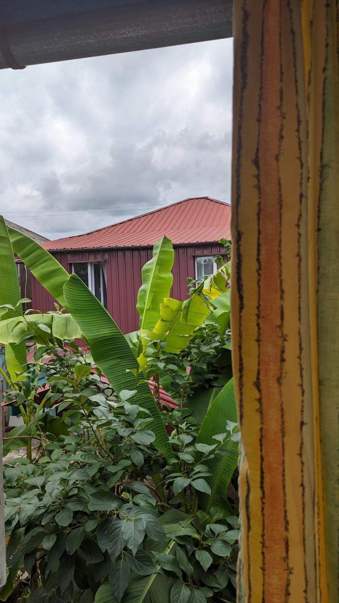 Mano'S Guest House Kobuleti Ngoại thất bức ảnh
