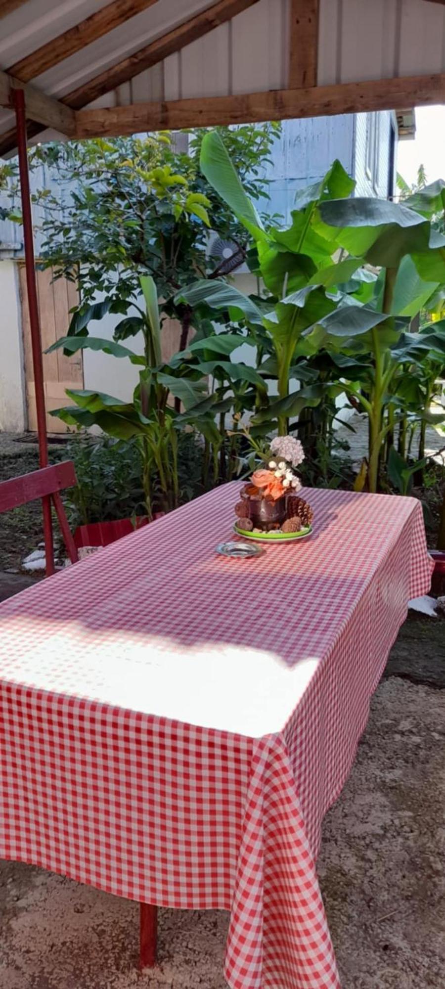 Mano'S Guest House Kobuleti Ngoại thất bức ảnh